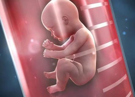 2026天津十大助孕机构以及试管价格一览