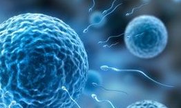 2026乌鲁木齐市三大助孕公司是哪3家？附最新联系方式！