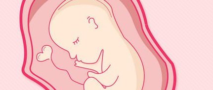 2026北京三代试管助孕机构排名前十的都有谁？还在纠结的就不犹豫了