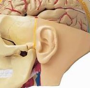 2026佛山做试管一共需要多少钱？是否靠谱看3点