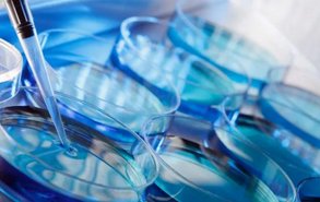 2026岳阳市一人民医院试管婴儿成功率