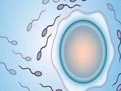 2026宁夏银川十大助孕机构大盘点，助您拥有一个完整的家