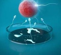 (做三代试管能排除癫痫吗？祖传癫痫可以通过三代试管避免遗传给下一代吗？