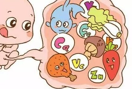 2026年上海新锐试管婴儿机构推荐，权威专家揭秘哪家更出色