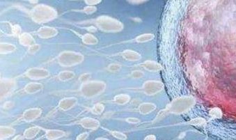 2026年三代试管助孕指南：揭秘挑选优质机构的秘诀