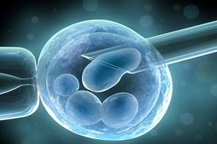 19毫米内膜厚度下试管移植成功率揭秘，结果令人意外